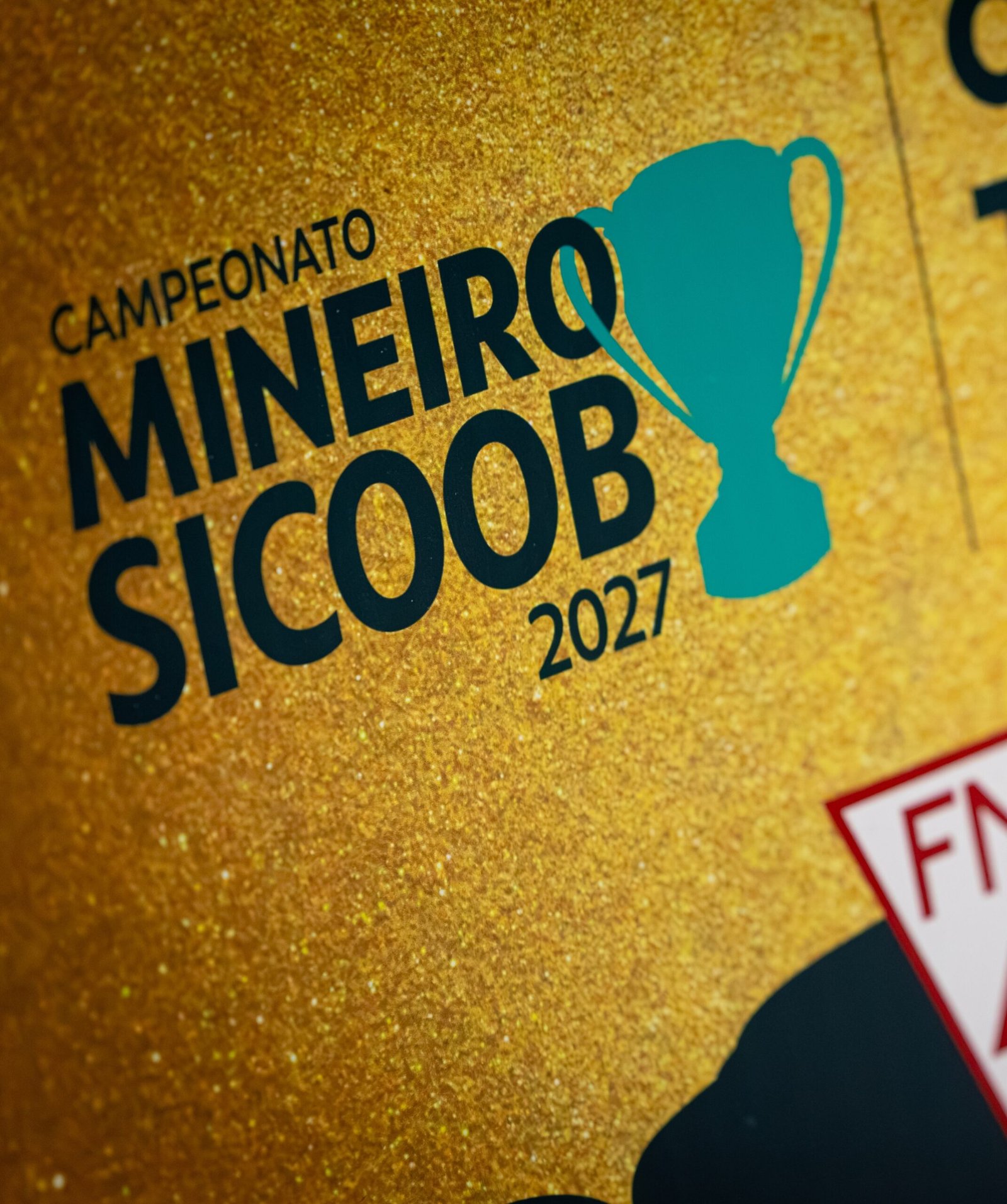 Conselho Técnico FMF