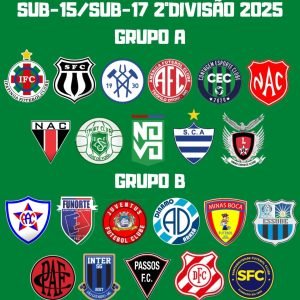 FMF realiza Conselho Técnico para Mineiro Sub-15 e Sub-17 da 2ª Divisão