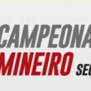 Média de Público do Mineiro da Segunda Divisão