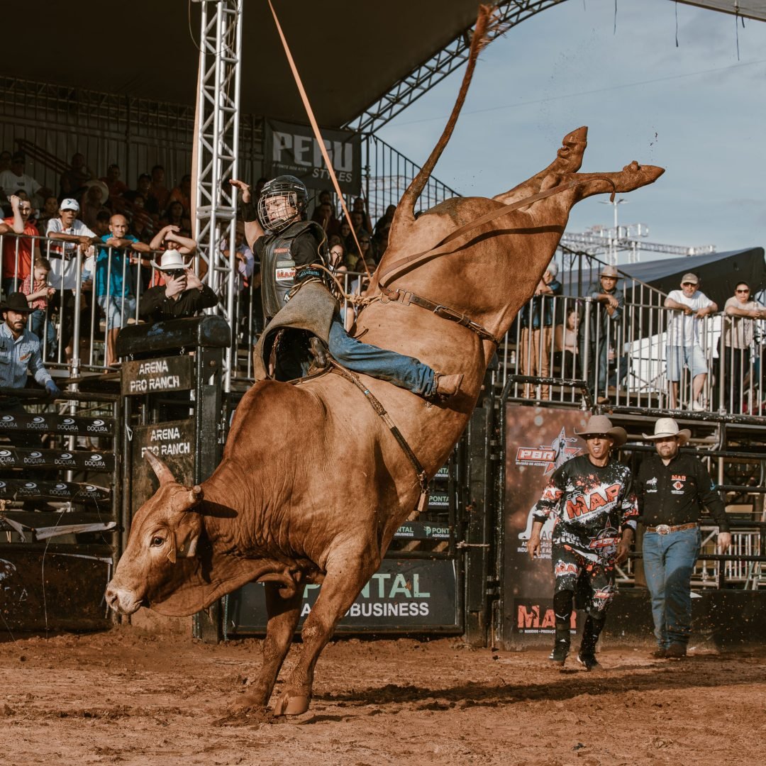 Uberaba Rodeo Show tem etapa da PBR Brasil e grandes companhias de rodeio