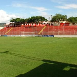 Foto: Pâmela Alves Leiloeira/Divulgação