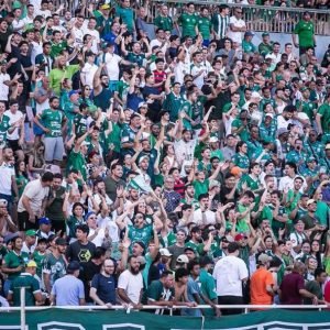 Mineiro 2026: Cruzeiro Domina Público e Uberlândia Lidera Interior em Números da Arquibancada