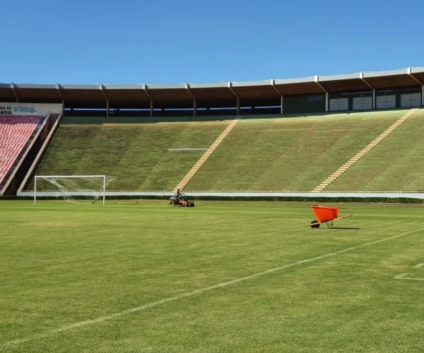 Gramado do Estádio Parque do Sabiá poderá ganhar grama sintética - Foto: Divulgação/Futel