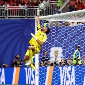 Sensação da Copa do Mundo, Vozinha supera marca de 10 milhões de seguidores