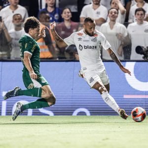 Palmeiras vira jogo pra cima do Santos - Foto: gamearena.gg/Reprodução 